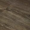 Shasta - Image 3