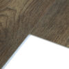 Shasta - Image 2